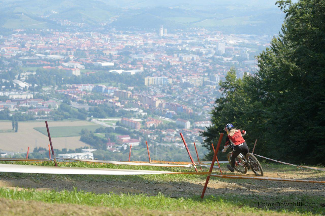 Vali Hoell