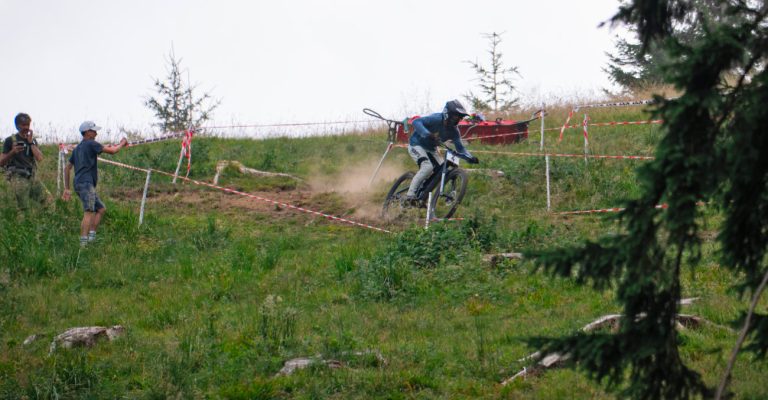 maks struna